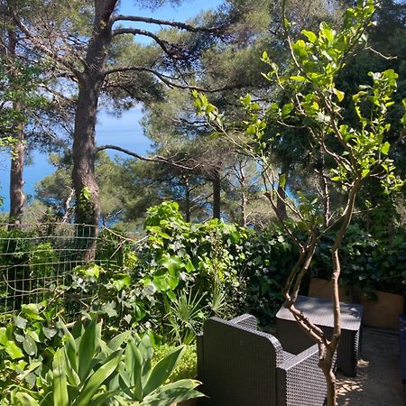 Guest House Berzefi بيرغيجي المظهر الخارجي الصورة