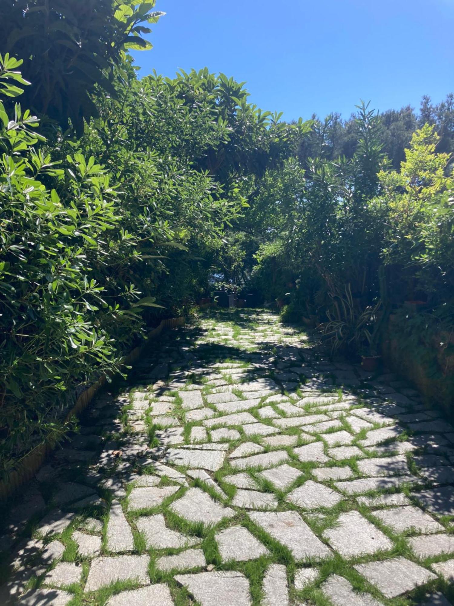 Guest House Berzefi بيرغيجي المظهر الخارجي الصورة